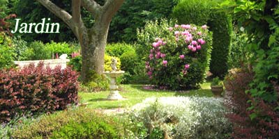 Photos de jardin