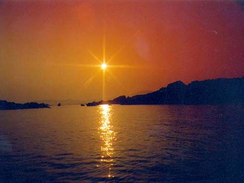 Corse