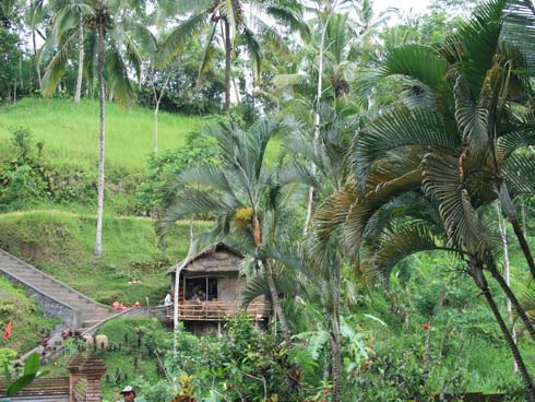 Bali