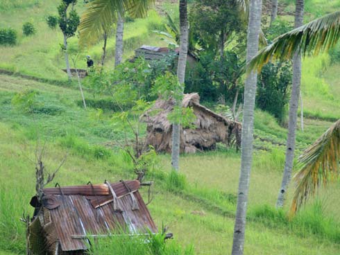 Bali