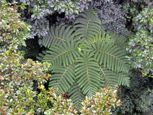 Costa Rica