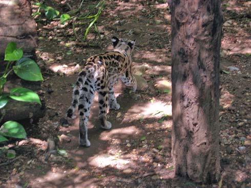 Costa Rica