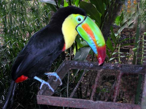 Costa Rica
