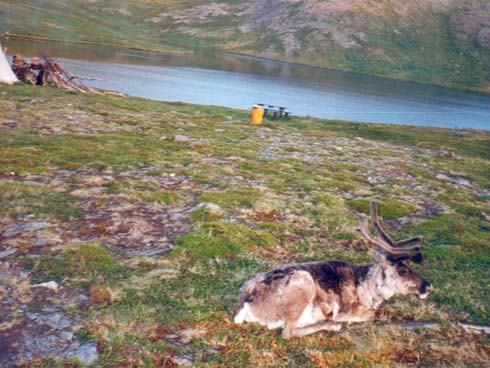 Norvège