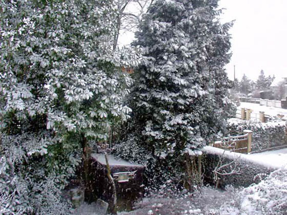 Cabane