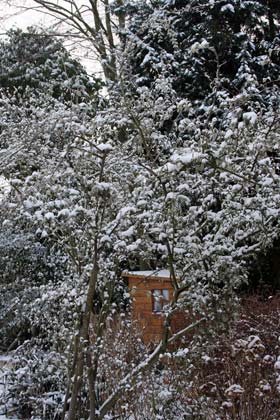 Cabane