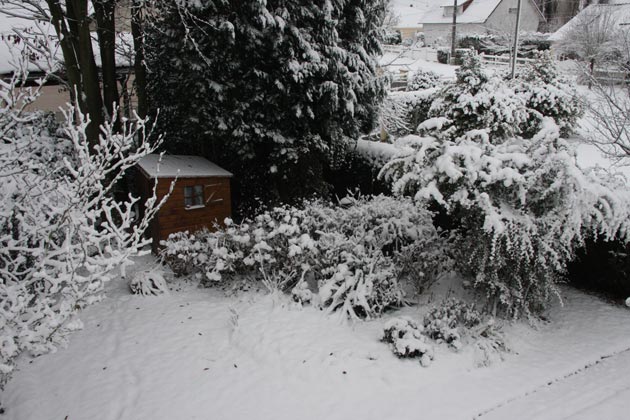Cabane
