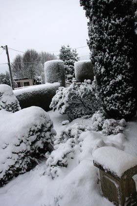 Jardin