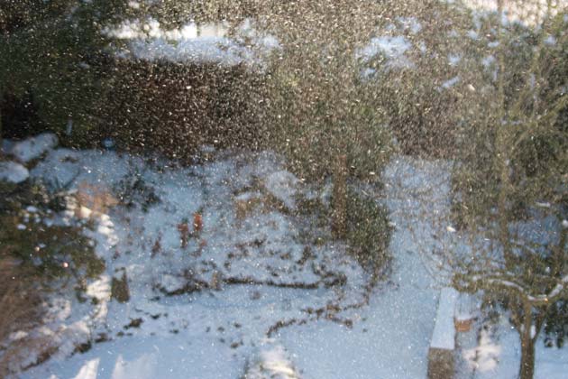 Il neige