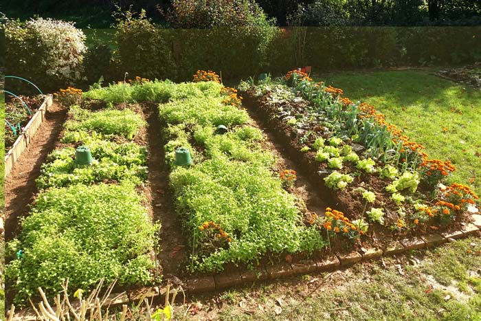 Potager