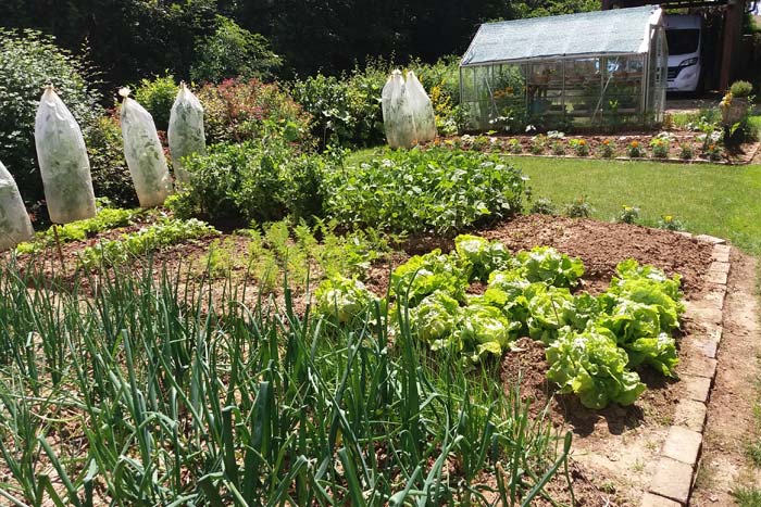 Potager