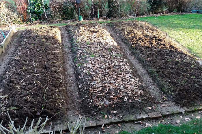 Potager