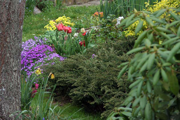 Jardin