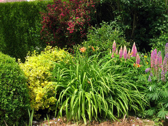 Jardin